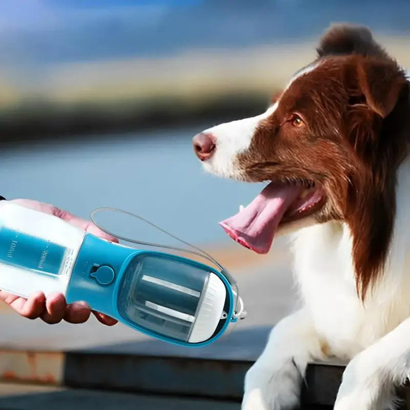 Three-in-one Portable pet bottle
