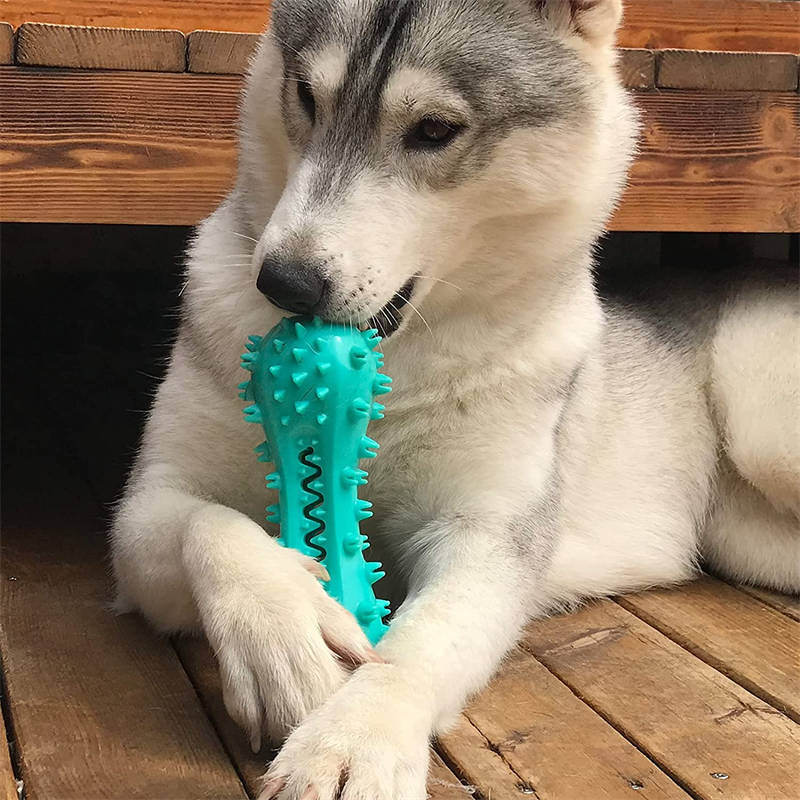 Pet Cleaning Chew Toys For Oral Teeth
